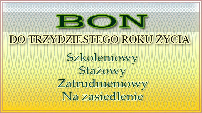 Zdjęcie artykułu Nabór wniosków o przyznanie bonów dla osób do lat 30